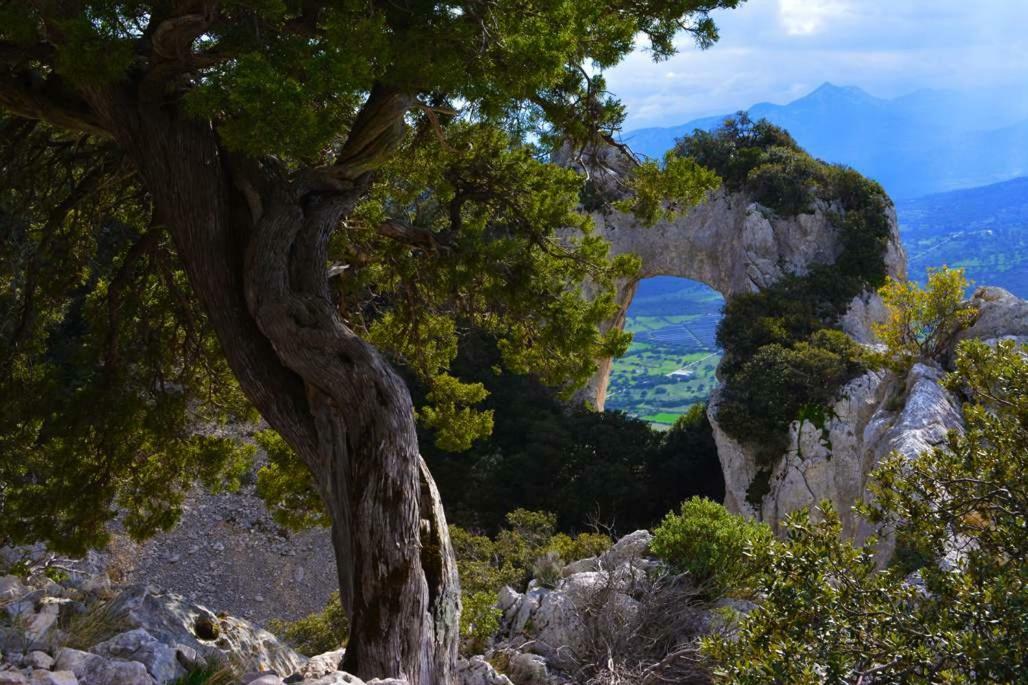 Canne Al Vento Galtellì Dış mekan fotoğraf